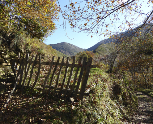 Reserva de caza en Asturias