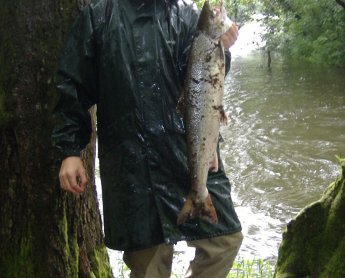 Pesca de Salmón en el Esva, Coto de Brieves