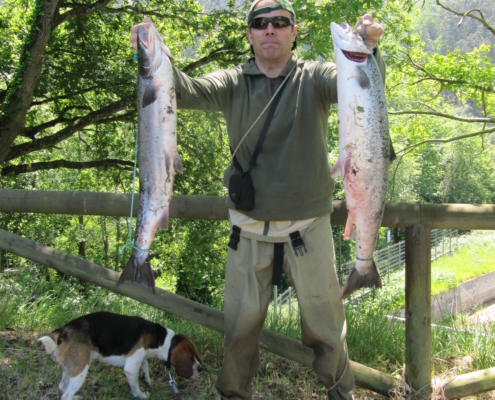 Pesca de Salmón en el Esva, Coto de Piedra Blanca