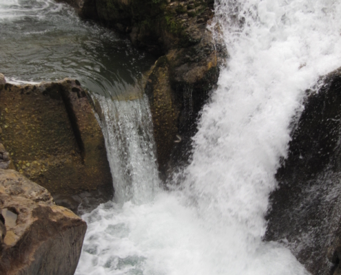Río Sella, la Salmonera