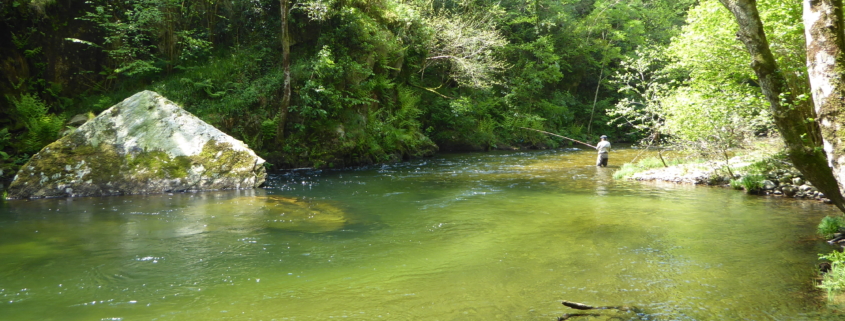 Pesca de Salmón y Reo en el Esva