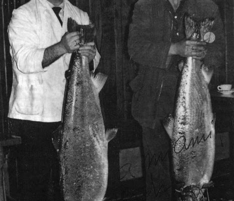 Salmón record de Asturias en el río Narcea, 16100 gramos