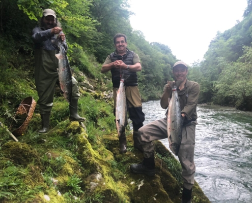 Cupo de Salmón en Coto Jaces, Río Cares