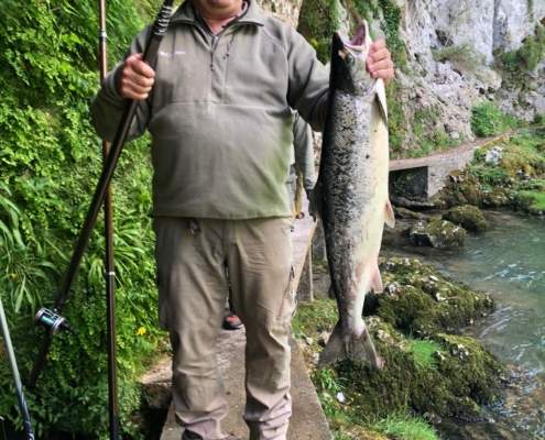 Salmón pescado en el río Cares Coto Jaces