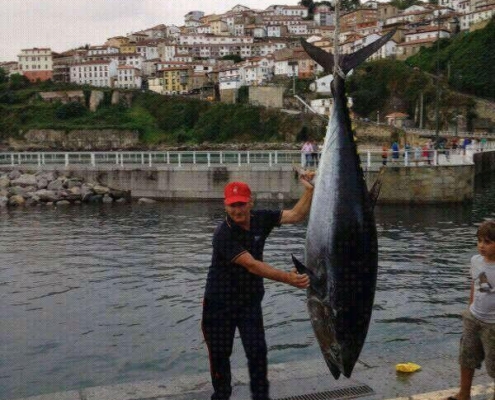 pesca-de-atun-en-asturias