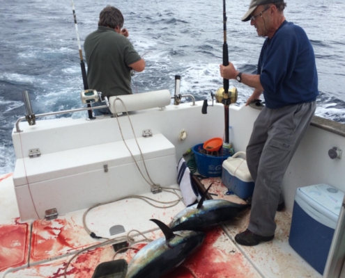 pesca-de-bonito-en-asturias