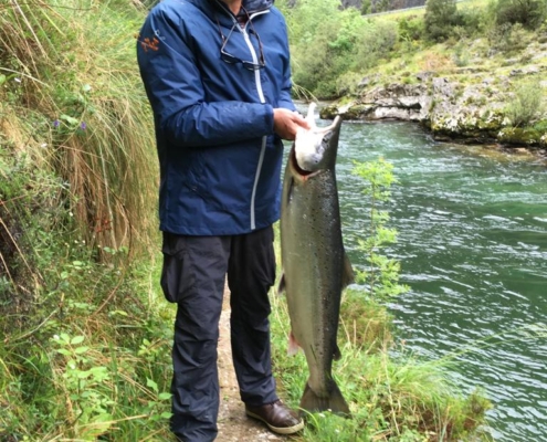 Salmón de 10,500 Kg Coto Niserias, Río Cares