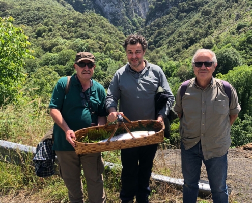 Salmón Coto Jaces 2021