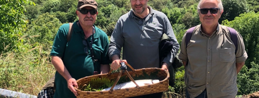 Salmón Coto Jaces 2021